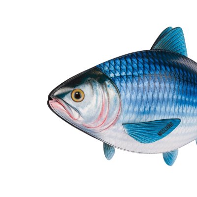 THE FISH BAG